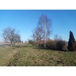 FOTO FATTE CON QUESTO TELEFONO