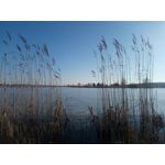 FOTO FATTE CON QUESTO TELEFONO