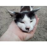 来自这款手机的图片