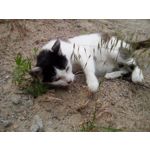 来自这款手机的图片