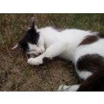 来自这款手机的图片