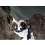 来自这款手机的图片