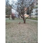 Pictures by this phone Wiko Lenny 3