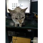 Selbst von Nutzern gemachte Bilder Wiko T3 Selbst von Nutzern gemachte Bilder Wiko T3