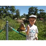 PICTURES FROM THIS PHONE