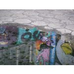 用户照片 Xiaomi 12S Ultra