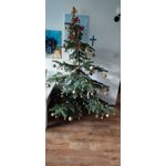 來自這款手機的圖片