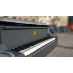 FOTO FATTE CON QUESTO TELEFONO