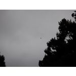 FOTO FATTE CON QUESTO TELEFONO