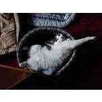 FOTO FATTE CON QUESTO TELEFONO