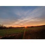 FOTO'S VAN DEZE TELEFOON