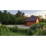 PICTURES FROM THIS PHONE