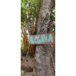 IMAGENS DESTE TELEFONE