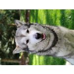 PICTURES FROM THIS PHONE PICTURES FROM THIS PHONE