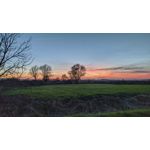 FOTO'S VAN DEZE TELEFOON