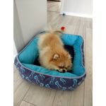 Fotos de usuários Xiaomi Mi Note 2