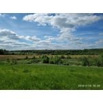 來自這款手機的圖片