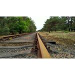 來自這款手機的圖片