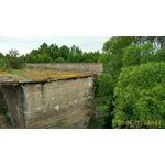 來自這款手機的圖片