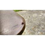 来自这款手机的图片