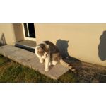 來自這款手機的圖片