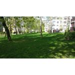 Pictures by this phone Xiaomi Mi5 High