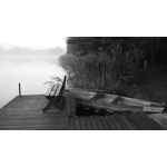 Pictures by this phone Xiaomi Mi5 High