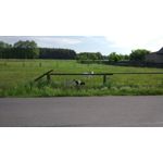 Pictures by this phone Xiaomi Mi5 High