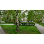 Pictures by this phone Xiaomi Mi5 High