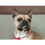 Foto dei utenti Xiaomi Mi 6 Foto dei utenti Xiaomi Mi 6