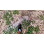 Fotos de usuários Xiaomi Redmi 2 Prime Fotos de usuários Xiaomi Redmi 2 Prime