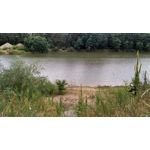 PICTURES FROM THIS PHONE