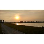 PICTURES FROM THIS PHONE