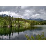 Imágenes de los usuarios Xiaomi Redmi 4 High Edition