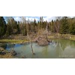 Imágenes de los usuarios Xiaomi Redmi 4 High Edition