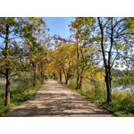 LAS FOTOS HECHAS CON ESTE TELÉFONO