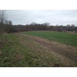 ФОТКИ СНЯТЫЕ ДАННЫМ МОБИЛЬНИКОМ