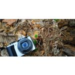 FOTO FATTE CON QUESTO TELEFONO