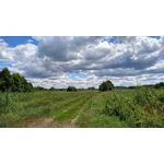 Pictures by this phone Xiaomi Redmi 5