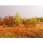 LAS FOTOS HECHAS CON ESTE TELÉFONO