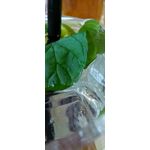 Foto's van de gebruikers Xiaomi Redmi Note 3 Snapdragon