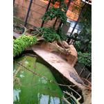 Foto's van de gebruikers Xiaomi Redmi Note 3 Snapdragon