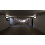 來自這款手機的圖片