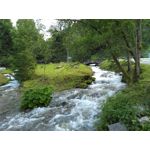 PHOTOS FAITES AVEC CE SMARTPHONE