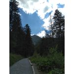 PHOTOS FAITES AVEC CE SMARTPHONE