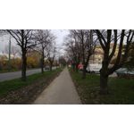 Pictures by this phone Xiaomi Redmi Pro