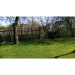 Pictures by this phone Xiaomi Redmi Pro