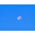 LAS FOTOS HECHAS CON ESTE TELÉFONO