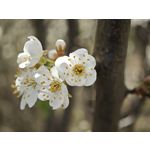 LAS FOTOS HECHAS CON ESTE TELÉFONO