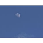 LAS FOTOS HECHAS CON ESTE TELÉFONO